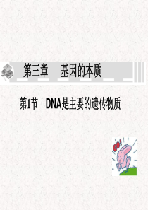必修2 DNA是主要的遗传物质.
