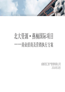 2016成都北大资源燕楠国际项目招商及营销执行方案