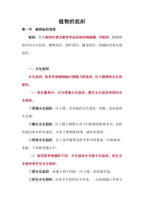 植物的组织