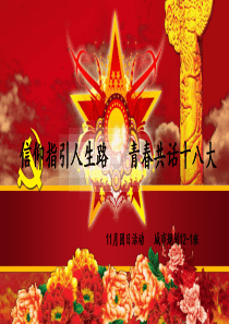 11月团日活动  十八大