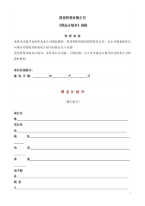 国际投资有限公司《商业计划书》规范