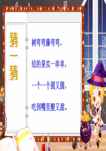 人教(部编版)二年级上册语文课件-11.葡萄沟 (PPT)
