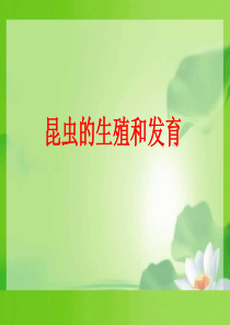 7.1.2 昆虫的生殖和发育ppt课件