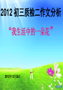 作文-生活中的一朵花