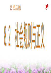 8.2.社会规则与正义