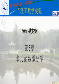 数学实验  高等数学下matlab