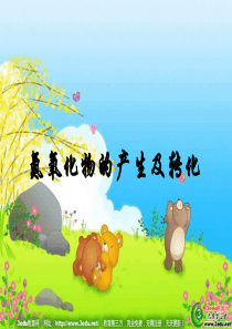 4.2.1氮氧化合物的产生与转化