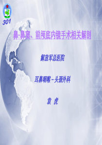 鼻-鼻窦、前颅底内镜手术相关解剖