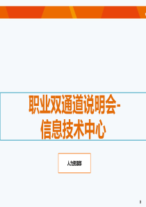 信息技术-IT人员管理技术职业发展双通道方案