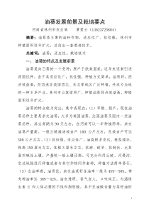 油葵发展前景及栽培要点