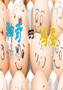神奇的鸡蛋