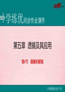 眼睛和眼镜