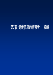 人教版生物必修1：2.3遗传信息的携带者――核酸 课件