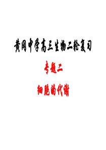 湖北省黄冈中学高三生物二轮复习精品课件2专题二-细胞代谢