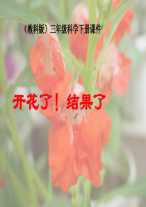 教科版科学三年级下册开花了,结果了