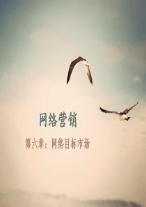 第六章：网络目标市场