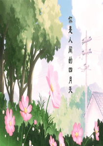 《你是人间的四月天》课件