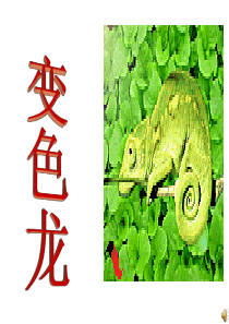 湘教版一年级美术下册变色龙课件PPT