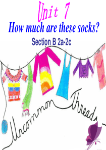 How-much-are-these-socks-sectionB-2a-2b公开课课件
