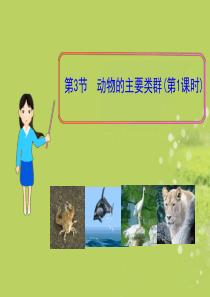 八年级生物下册_第22章_第3节_动物的主要类群(第1课时)课件_北师大版