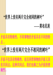 政治：3.2.3《矛盾普遍性和特殊性的关系》课件(大纲版高二上)
