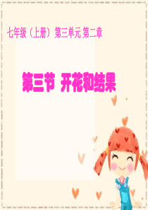 3.2.3开花和结果 (共23张PPT)