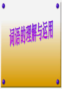 《中考语文复习词语的理解与运用》ppt课件