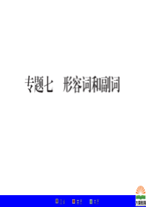 2014中考语法专项形容词副词