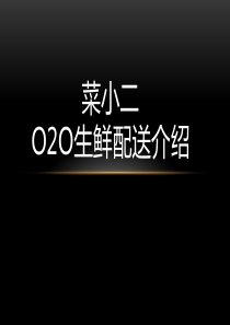 菜小二O2O生鲜配送商业计划书