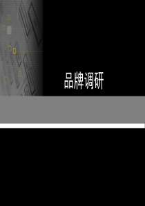 服装品牌调研 (例外)分析