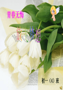 七年级放飞梦想主题班会ppt课件