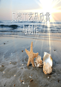 贝壳工艺欣赏与制作