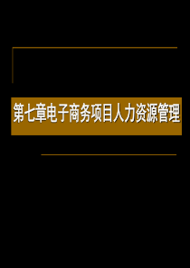 第七章电子商务项目人力资源管理