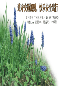 交通安全教育主题班会PPT课件