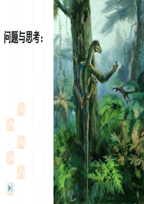 2014南京市初中生物复习公开课：五彩缤纷的植物世界(共计18张)
