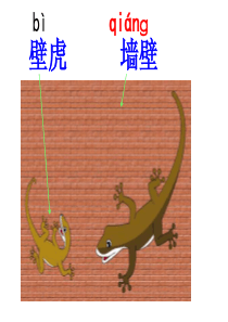 部编版一年级语文下册《小壁虎借尾巴》
