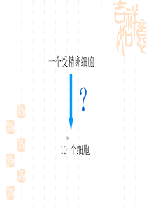 有丝分裂PPT课件