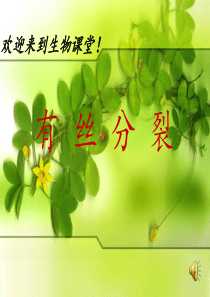 有丝分裂完整版