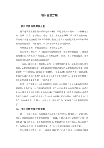 项目宣传方案