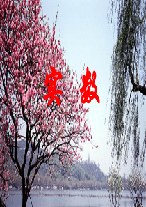 第六章《实数》总复习课件