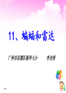 11[1].蝙蝠和雷达(完美版)