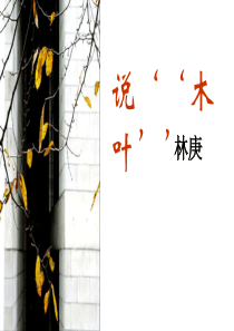 说木叶 优质课件