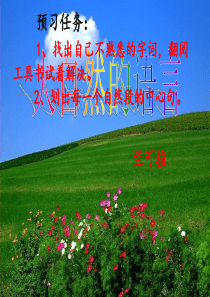 大自然的语言课件4