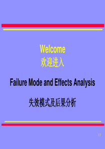 FMEA专业资料