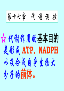 代谢调控-2(上传)
