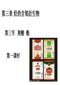 3.3-羧酸和酯