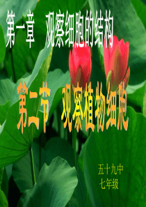 第二单元 生物体的结构层次 第一章第二节 植物细胞