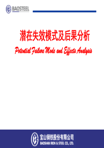 FMEA培训教材91081019
