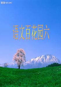 语文六年级(上)S版语文百花园六素材