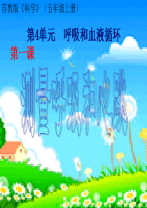 科学五年级上苏教版4.1《测量呼吸和心跳》课件